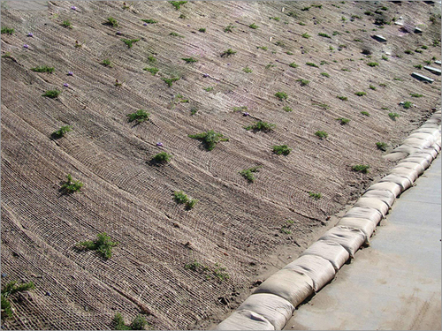 Erosion Control Supply in Santa Monica CA