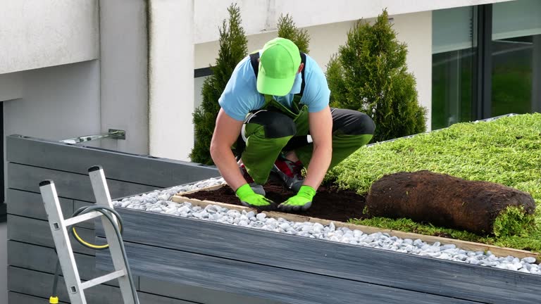 Green Roofs for natural insulation